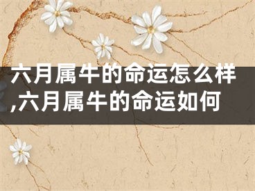 六月属牛的命运怎么样,六月属牛的命运如何