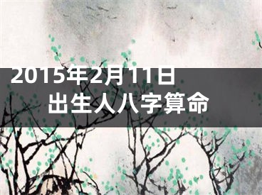 2015年2月11日出生人八字算命
