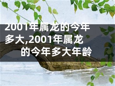 2001年属龙的今年多大,2001年属龙的今年多大年龄
