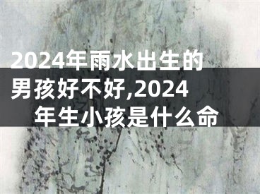 2024年雨水出生的男孩好不好,2024年生小孩是什么命