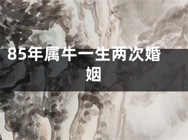 85年属牛一生两次婚姻