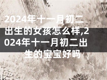2024年十一月初二出生的女孩怎么样,2024年十一月初二出生的宝宝好吗