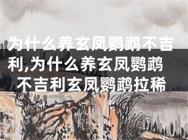 为什么养玄凤鹦鹉不吉利,为什么养玄凤鹦鹉不吉利玄凤鹦鹉拉稀