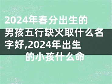 2024年春分出生的男孩五行缺火取什么名字好,2024年出生的小孩什么命