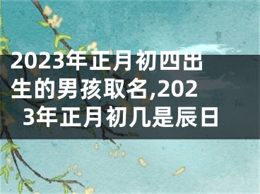 2023年正月初四出生的男孩取名,2023年正月初几是辰日