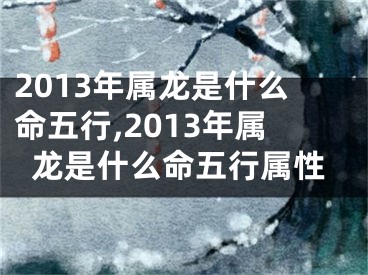 2013年属龙是什么命五行,2013年属龙是什么命五行属性