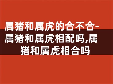 属猪和属虎的合不合-属猪和属虎相配吗,属猪和属虎相合吗