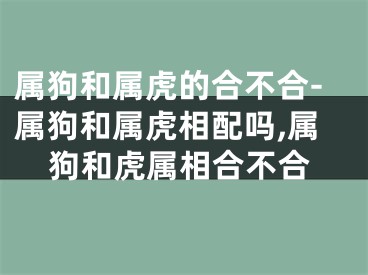 属狗和属虎的合不合-属狗和属虎相配吗,属狗和虎属相合不合