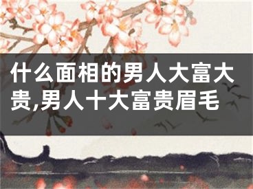 什么面相的男人大富大贵,男人十大富贵眉毛