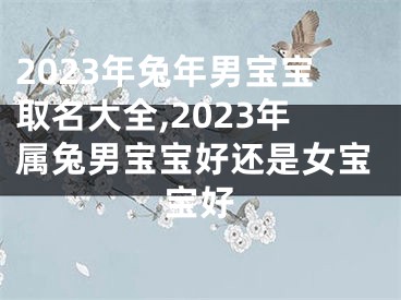 2023年兔年男宝宝取名大全,2023年属兔男宝宝好还是女宝宝好