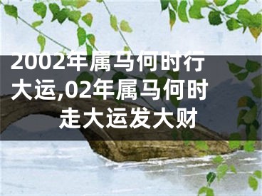 2002年属马何时行大运,02年属马何时走大运发大财