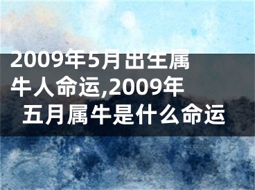 2009年5月出生属牛人命运,2009年五月属牛是什么命运