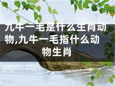 九牛一毛是什么生肖动物,九牛一毛指什么动物生肖