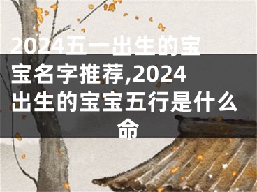 2024五一出生的宝宝名字推荐,2024出生的宝宝五行是什么命