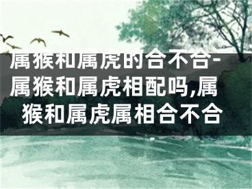 属猴和属虎的合不合-属猴和属虎相配吗,属猴和属虎属相合不合