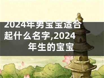 2024年男宝宝适合起什么名字,2024年生的宝宝