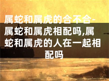 属蛇和属虎的合不合-属蛇和属虎相配吗,属蛇和属虎的人在一起相配吗