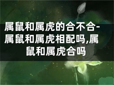 属鼠和属虎的合不合-属鼠和属虎相配吗,属鼠和属虎合吗