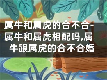 属牛和属虎的合不合-属牛和属虎相配吗,属牛跟属虎的合不合婚