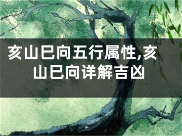 亥山巳向五行属性,亥山巳向详解吉凶