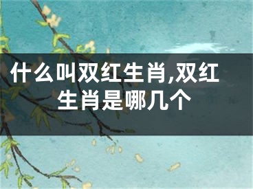 什么叫双红生肖,双红生肖是哪几个