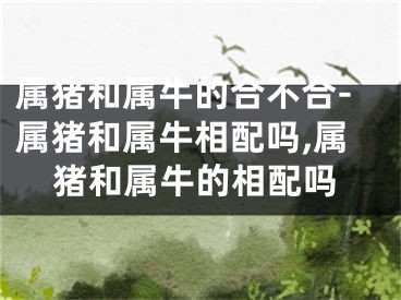 属猪和属牛的合不合-属猪和属牛相配吗,属猪和属牛的相配吗