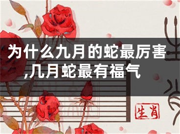 为什么九月的蛇最厉害,几月蛇最有福气