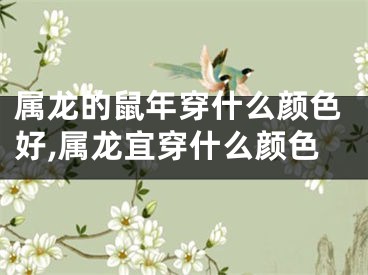 属龙的鼠年穿什么颜色好,属龙宜穿什么颜色