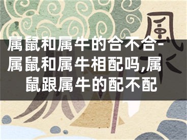 属鼠和属牛的合不合-属鼠和属牛相配吗,属鼠跟属牛的配不配
