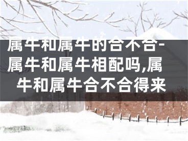 属牛和属牛的合不合-属牛和属牛相配吗,属牛和属牛合不合得来