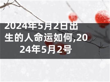 2024年5月2日出生的人命运如何,2024年5月2号