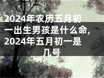 2024年农历五月初一出生男孩是什么命,2024年五月初一是几号