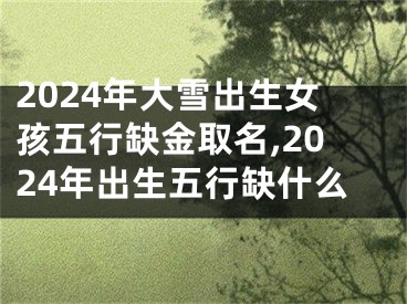 2024年大雪出生女孩五行缺金取名,2024年出生五行缺什么