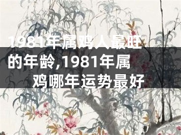 1981年属鸡人最旺的年龄,1981年属鸡哪年运势最好