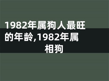 1982年属狗人最旺的年龄,1982年属相狗