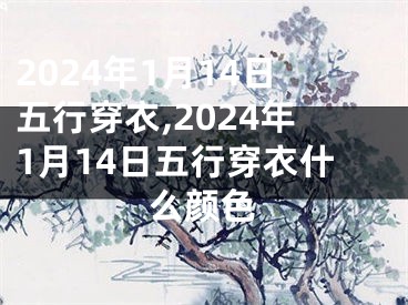 2024年1月14日五行穿衣,2024年1月14日五行穿衣什么颜色