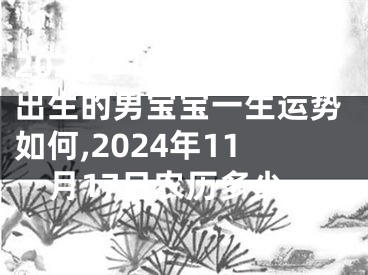 2024年11月7日出生的男宝宝一生运势如何,2024年11月17日农历多少