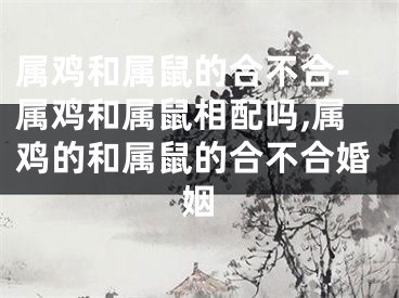 属鸡和属鼠的合不合-属鸡和属鼠相配吗,属鸡的和属鼠的合不合婚姻