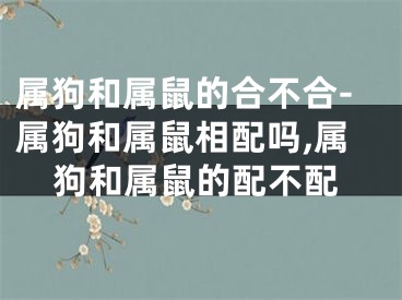 属狗和属鼠的合不合-属狗和属鼠相配吗,属狗和属鼠的配不配