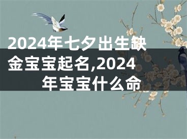 2024年七夕出生缺金宝宝起名,2024年宝宝什么命