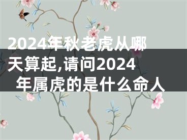 2024年秋老虎从哪天算起,请问2024年属虎的是什么命人