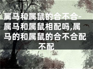 属马和属鼠的合不合-属马和属鼠相配吗,属马的和属鼠的合不合配不配