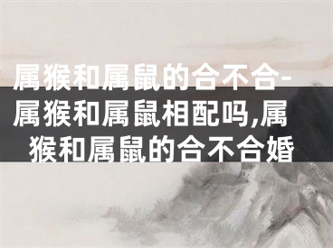 属猴和属鼠的合不合-属猴和属鼠相配吗,属猴和属鼠的合不合婚