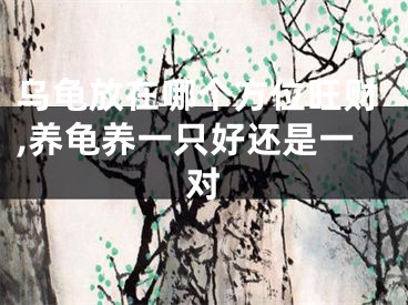 乌龟放在哪个方位旺财,养龟养一只好还是一对