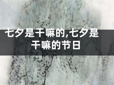 七夕是干嘛的,七夕是干嘛的节日