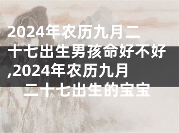 2024年农历九月二十七出生男孩命好不好,2024年农历九月二十七出生的宝宝