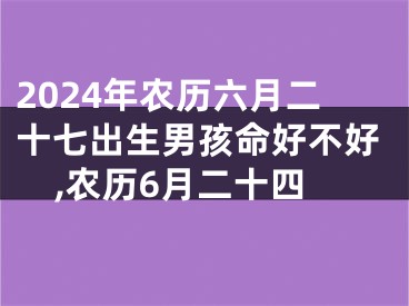2024年农历六月二十七出生男孩命好不好,农历6月二十四
