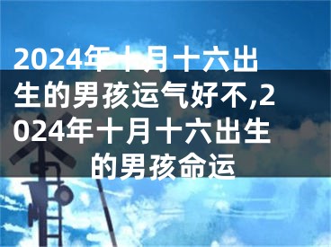 2024年十月十六出生的男孩运气好不,2024年十月十六出生的男孩命运