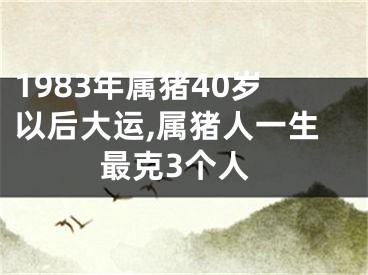 1983年属猪40岁以后大运,属猪人一生最克3个人
