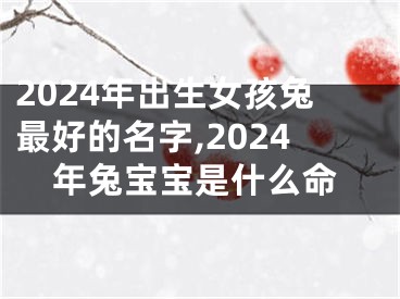 2024年出生女孩兔最好的名字,2024年兔宝宝是什么命